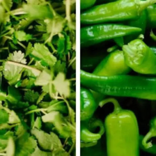 Image of Green chillies and Corriander leaves (Dhania Mirchi Seeds Pack).