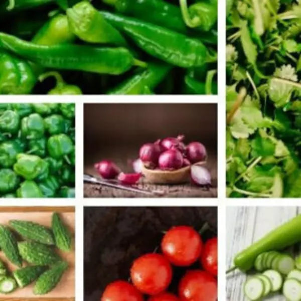This is an image of All Season Veggies Seeds Pack. It is a pack of 7 types of vegetable seeds.