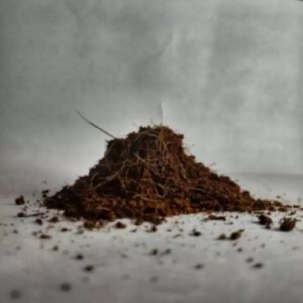 Finest brown colored powdered Coco Peat kept against a light background.