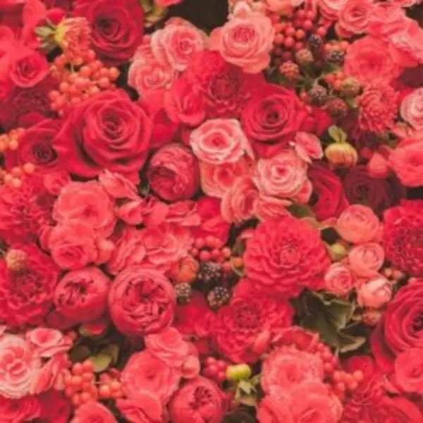 This is an image of flowers feed with Flowering Hormone Flowers Booster