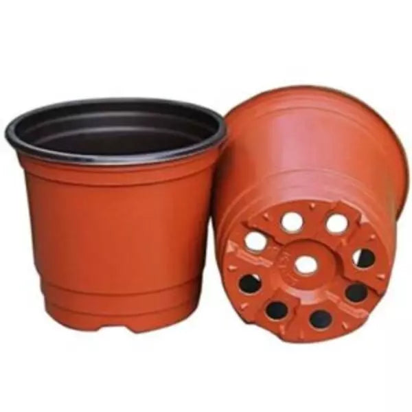 This is an image of two brown color 4 inch TFP Pots (Thermoform) kept against a white color background.