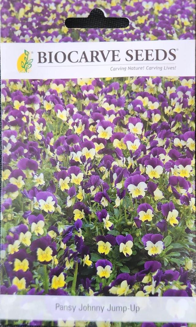 Biocarve Pansy Jhonny Pump Up Seeds (1Pc)