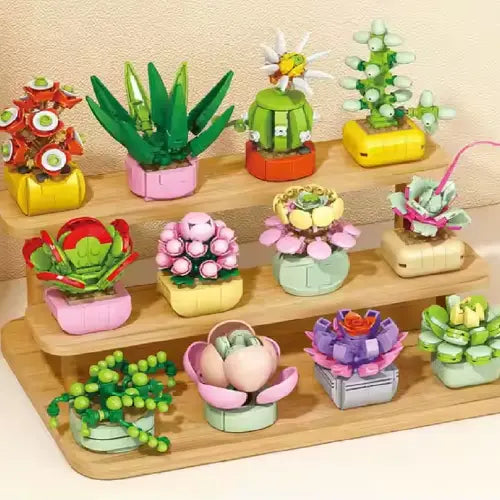 Haworthia Margaritifera Building Block Toy Plant(1pc)