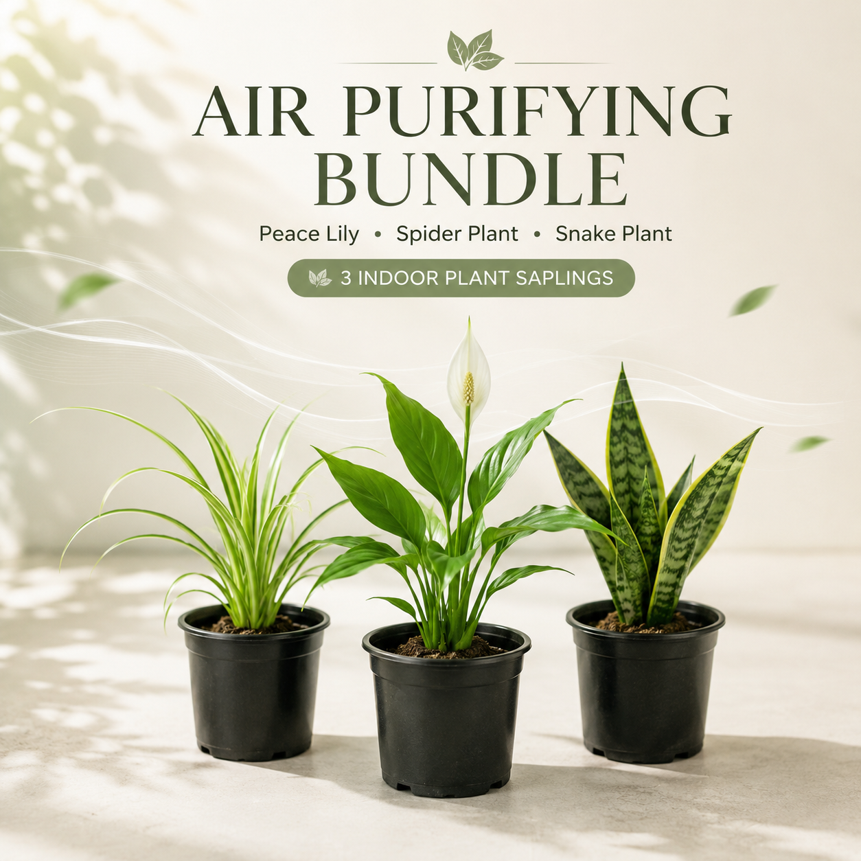 Air Purifying Bundle