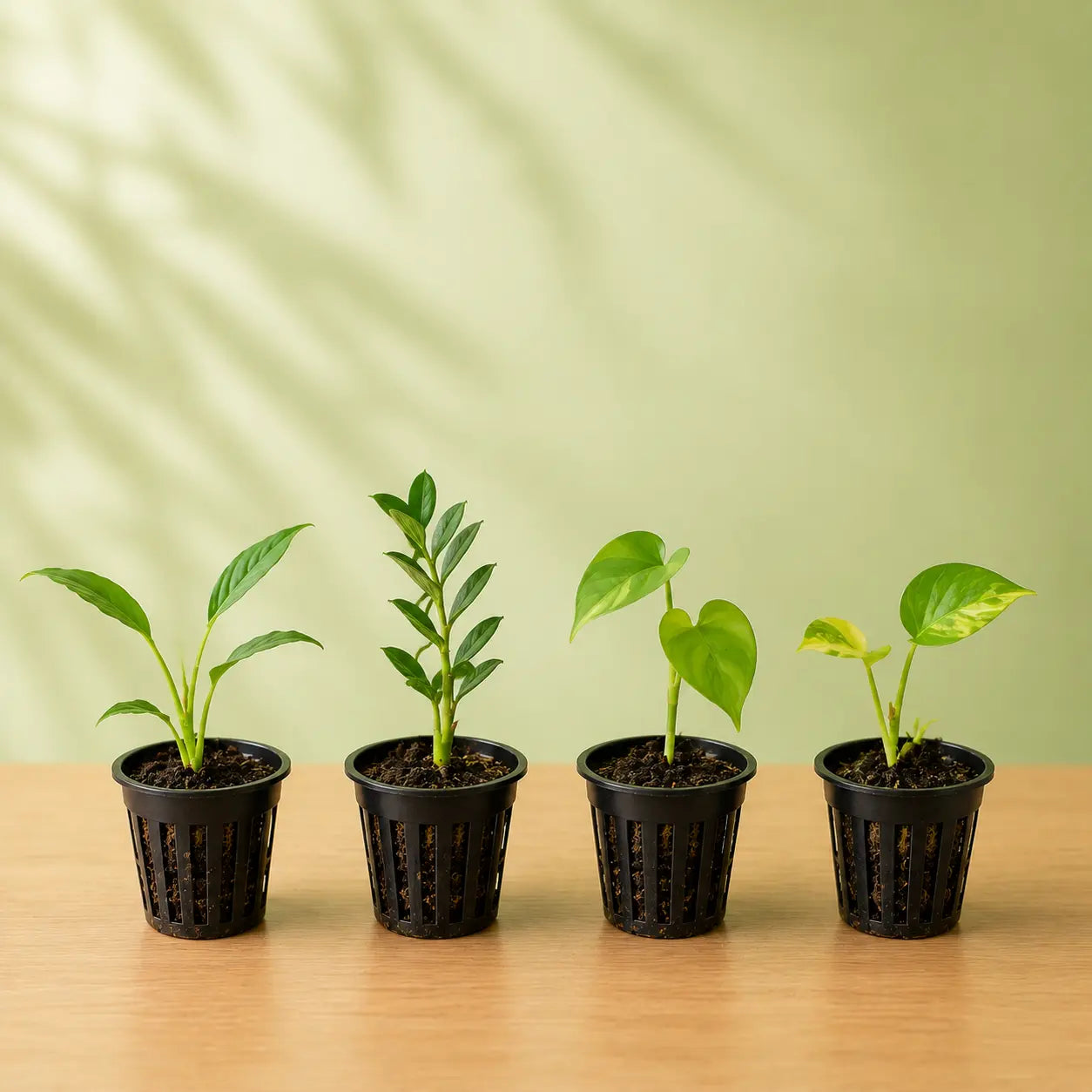 Monsoon Greenery Bundle
