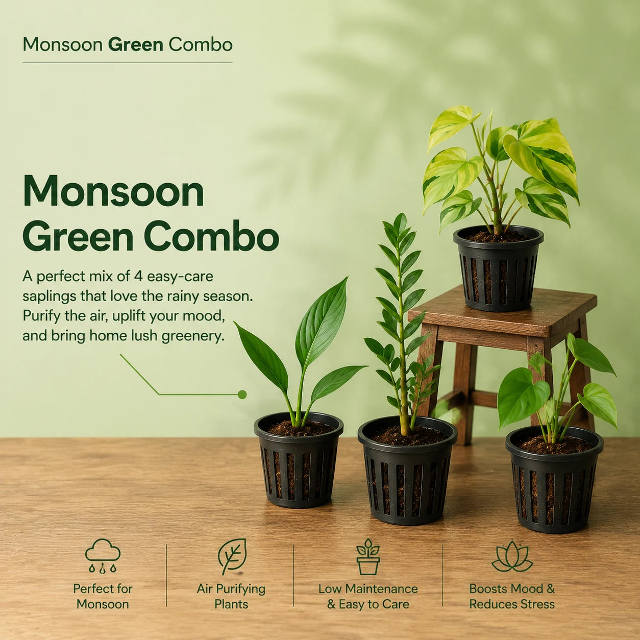 Monsoon Greenery Bundle