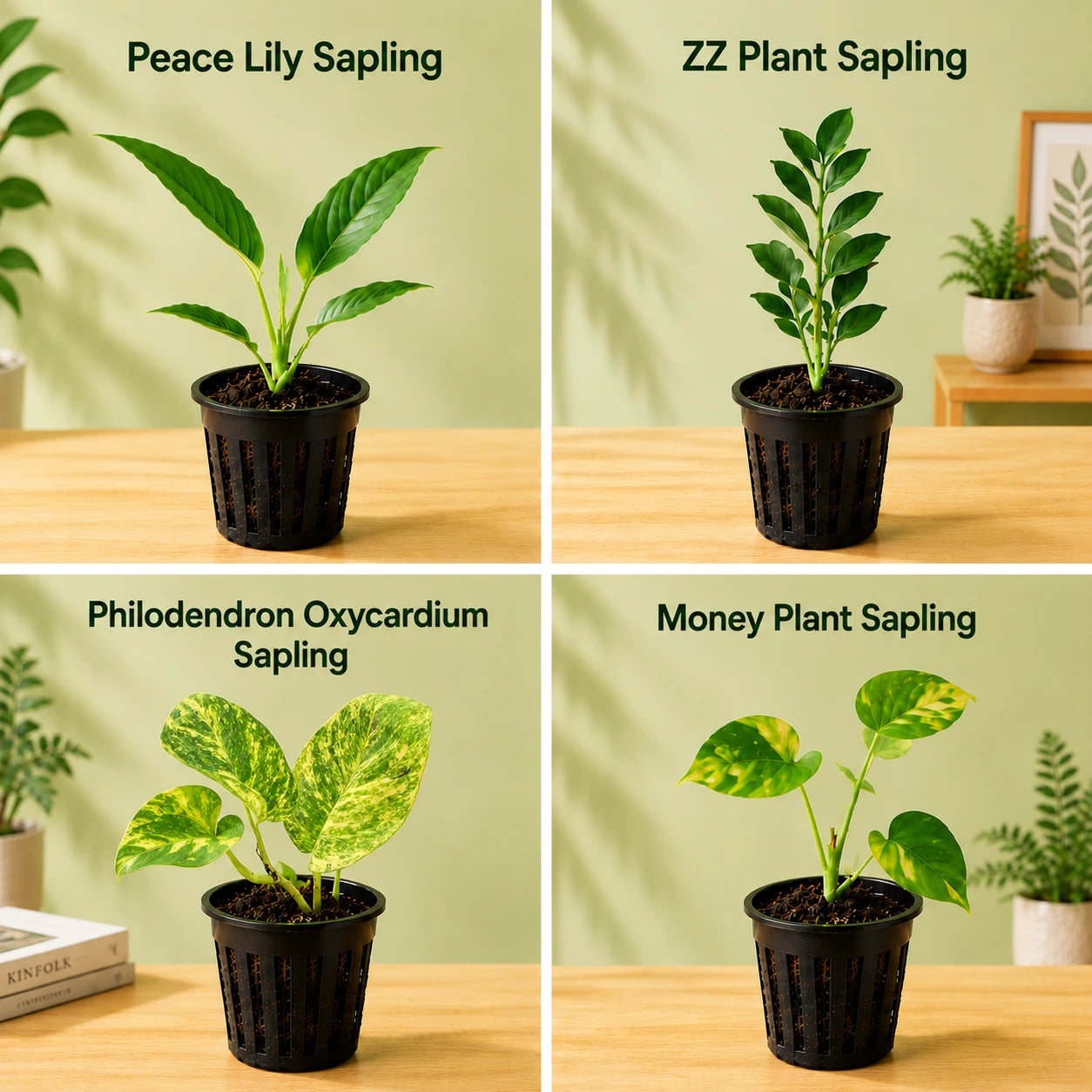 Monsoon Greenery Bundle