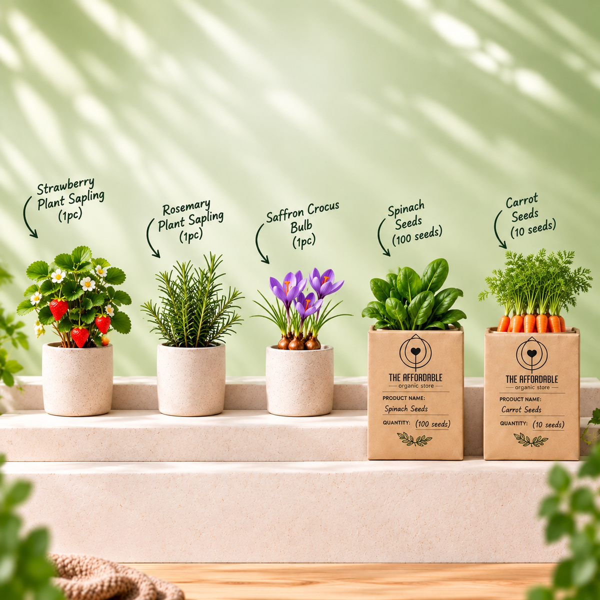 Winter Kitchen Garden Kit