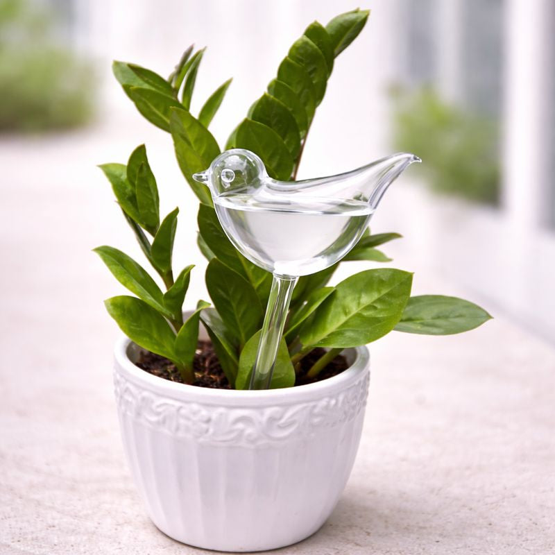 Self Watering Bird (1Pc)