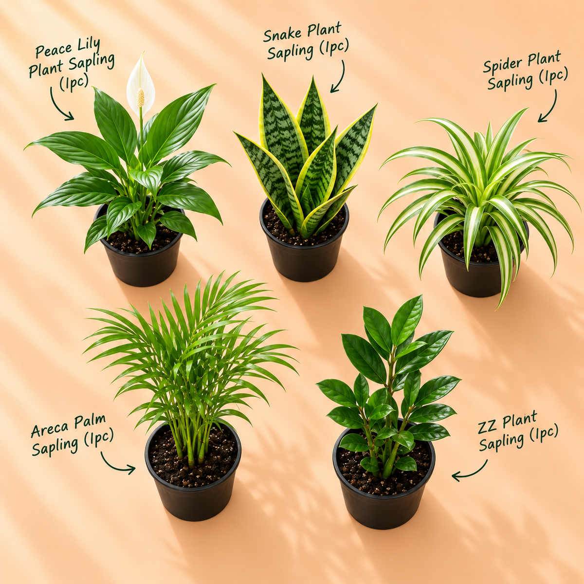 Air-Purifier Home Set
