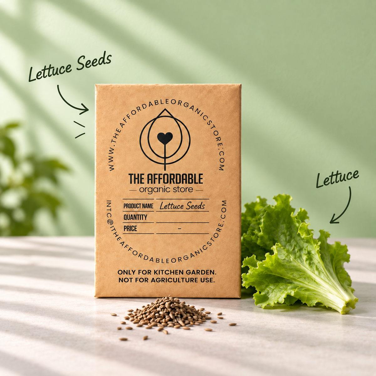 Lettuce Seeds (10 seeds)