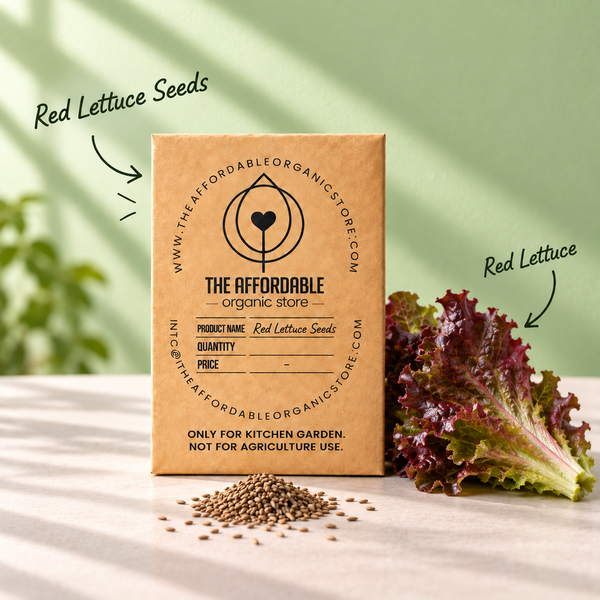 Red Lettuce Seeds (10 seeds)