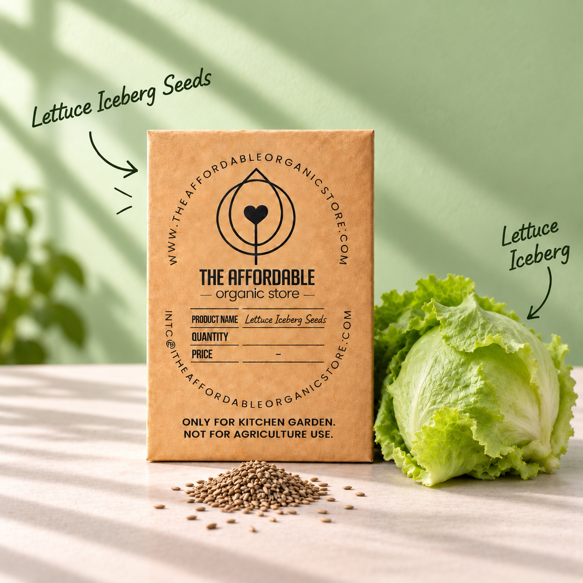 Lettuce Iceberg Seeds (10 Seeds)