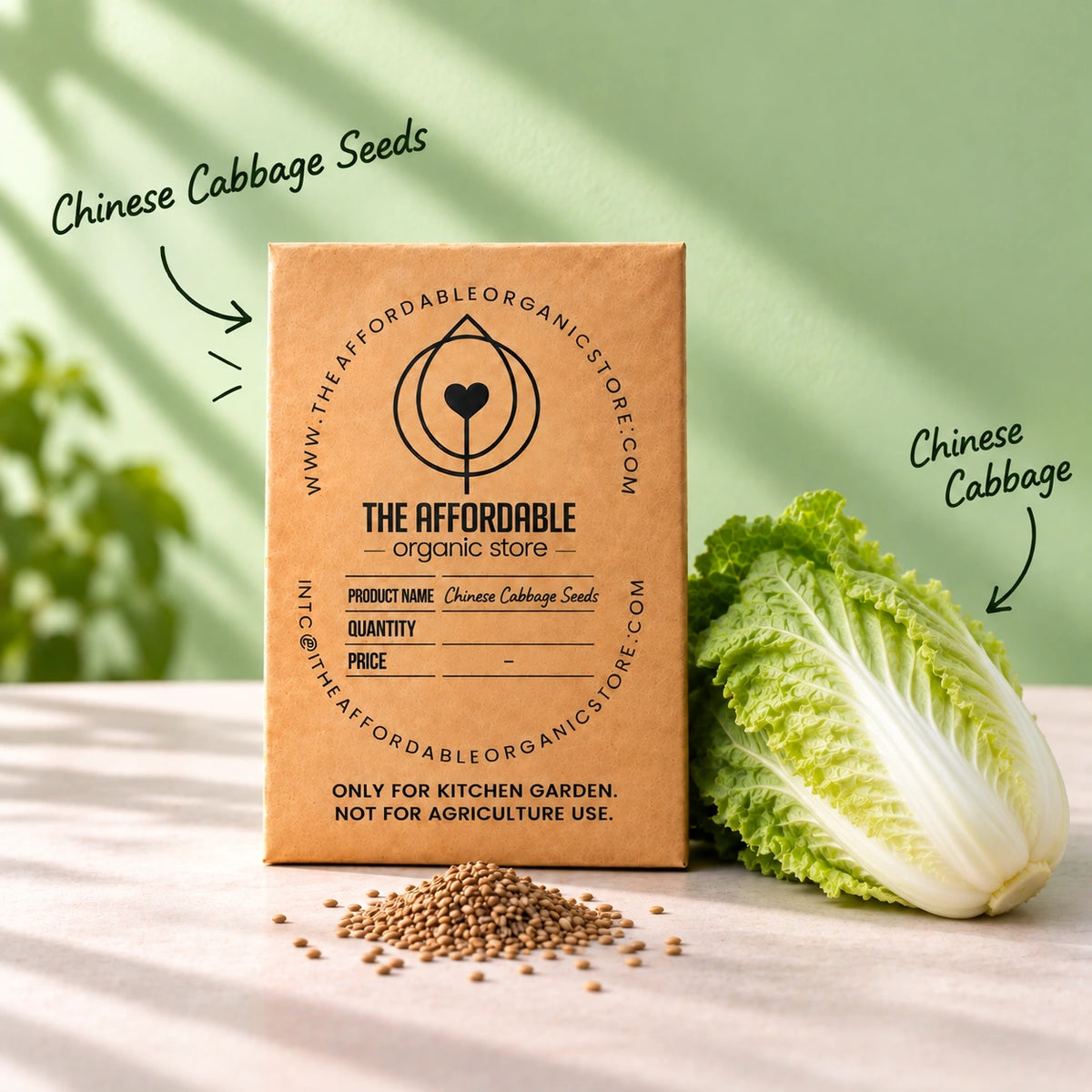Chinese Cabbage Seeds (10 seeds)