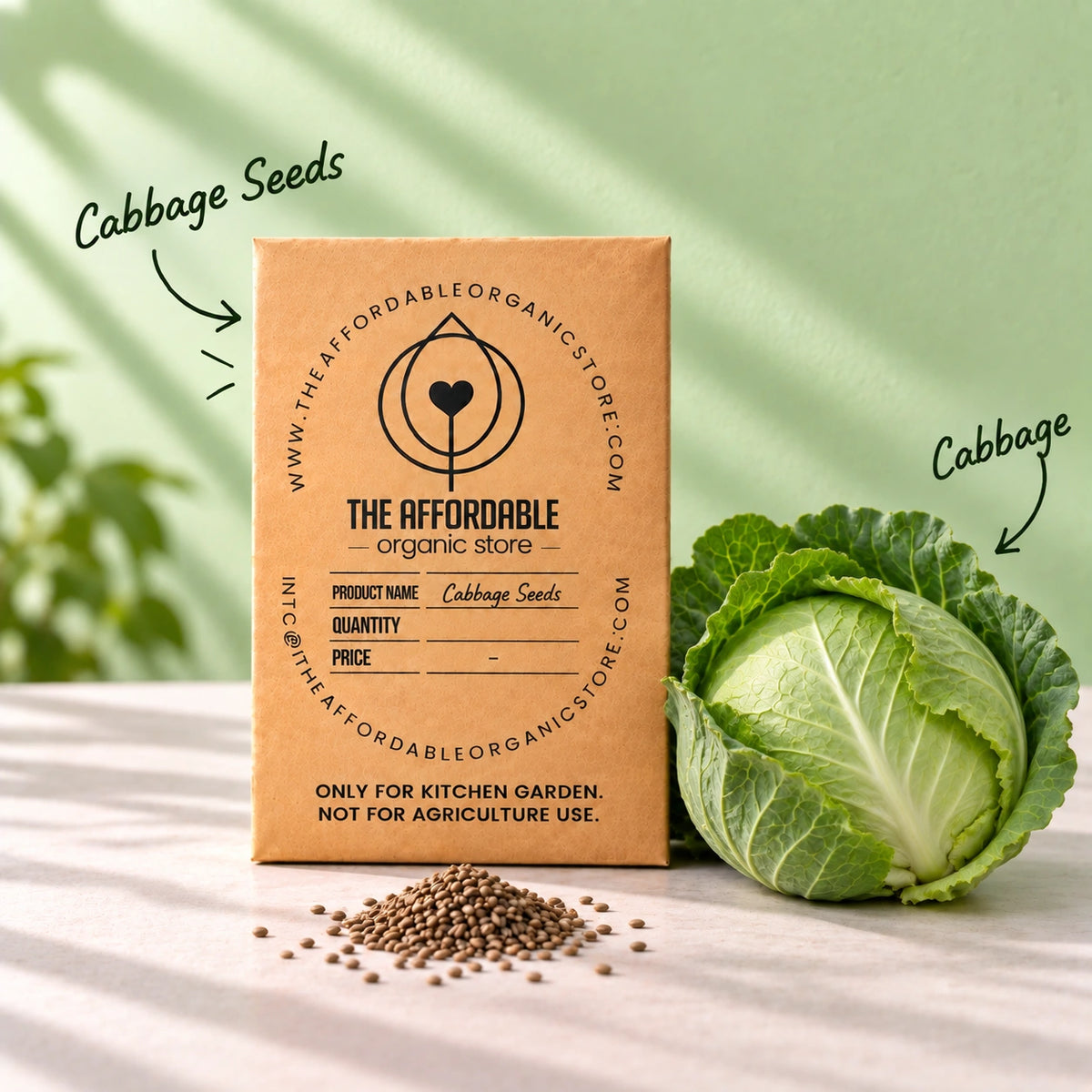 Cabbage Seeds (10 seeds)