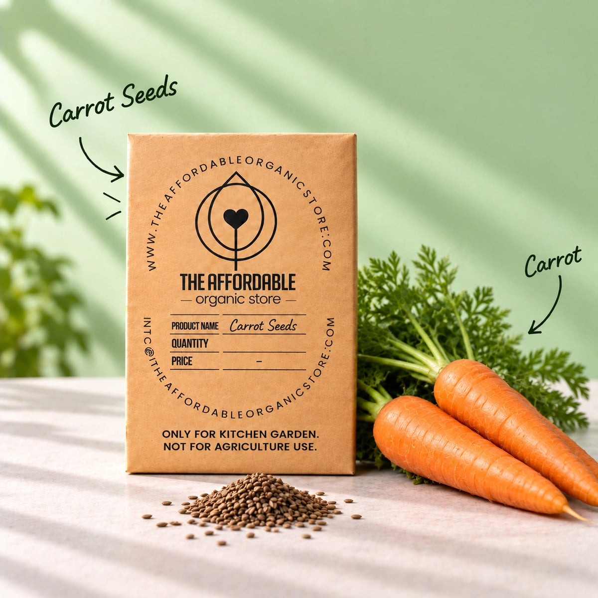 Carrot Seeds (10 seeds)