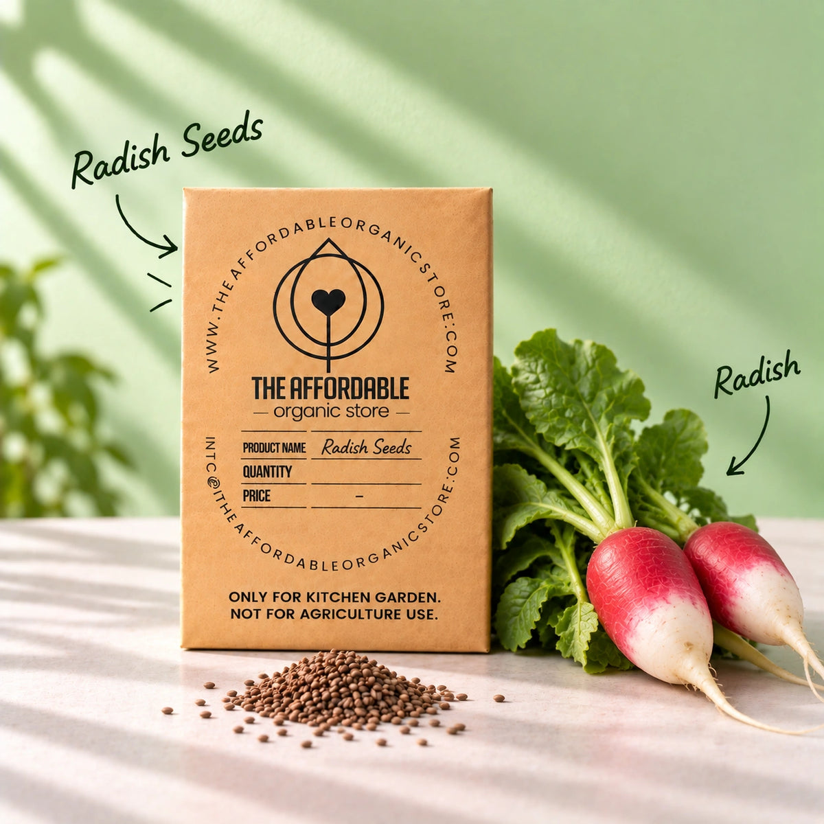 Radish Seeds (10 seeds)