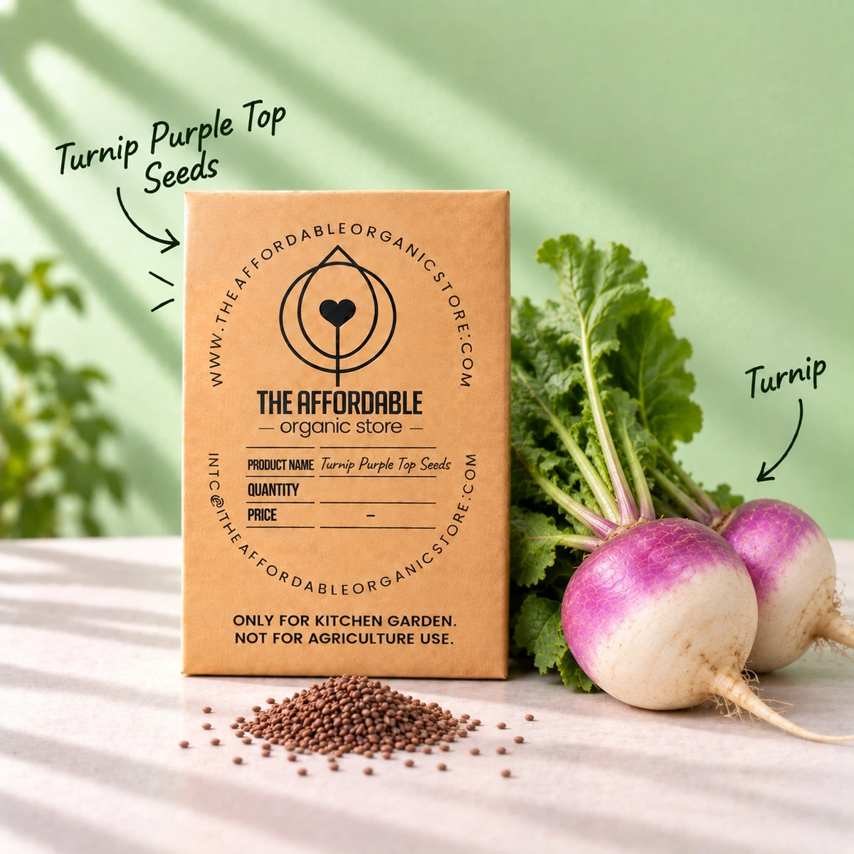 Turnip Purple Top Seeds (5 seeds)
