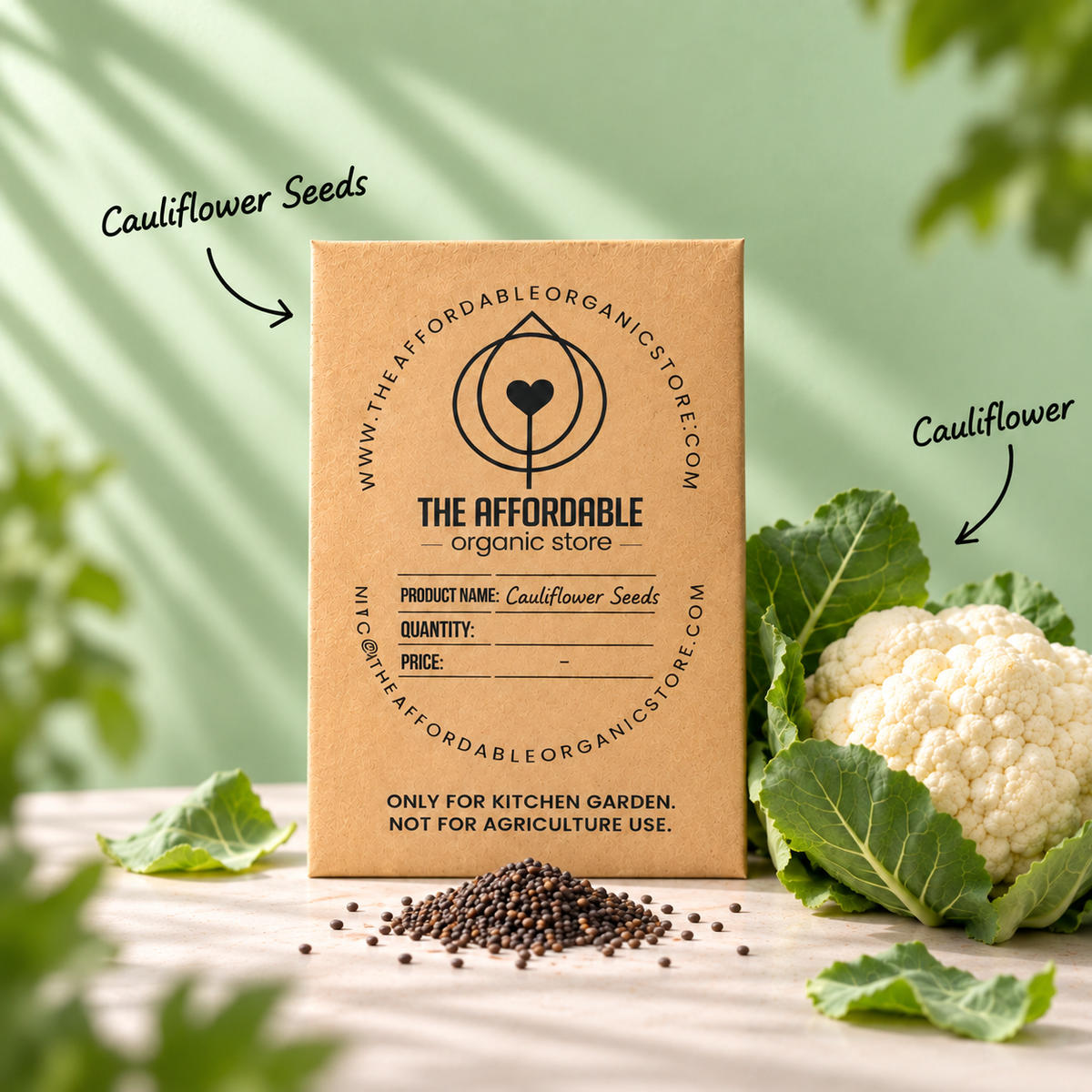 Cauliflower Seeds (10 seeds)