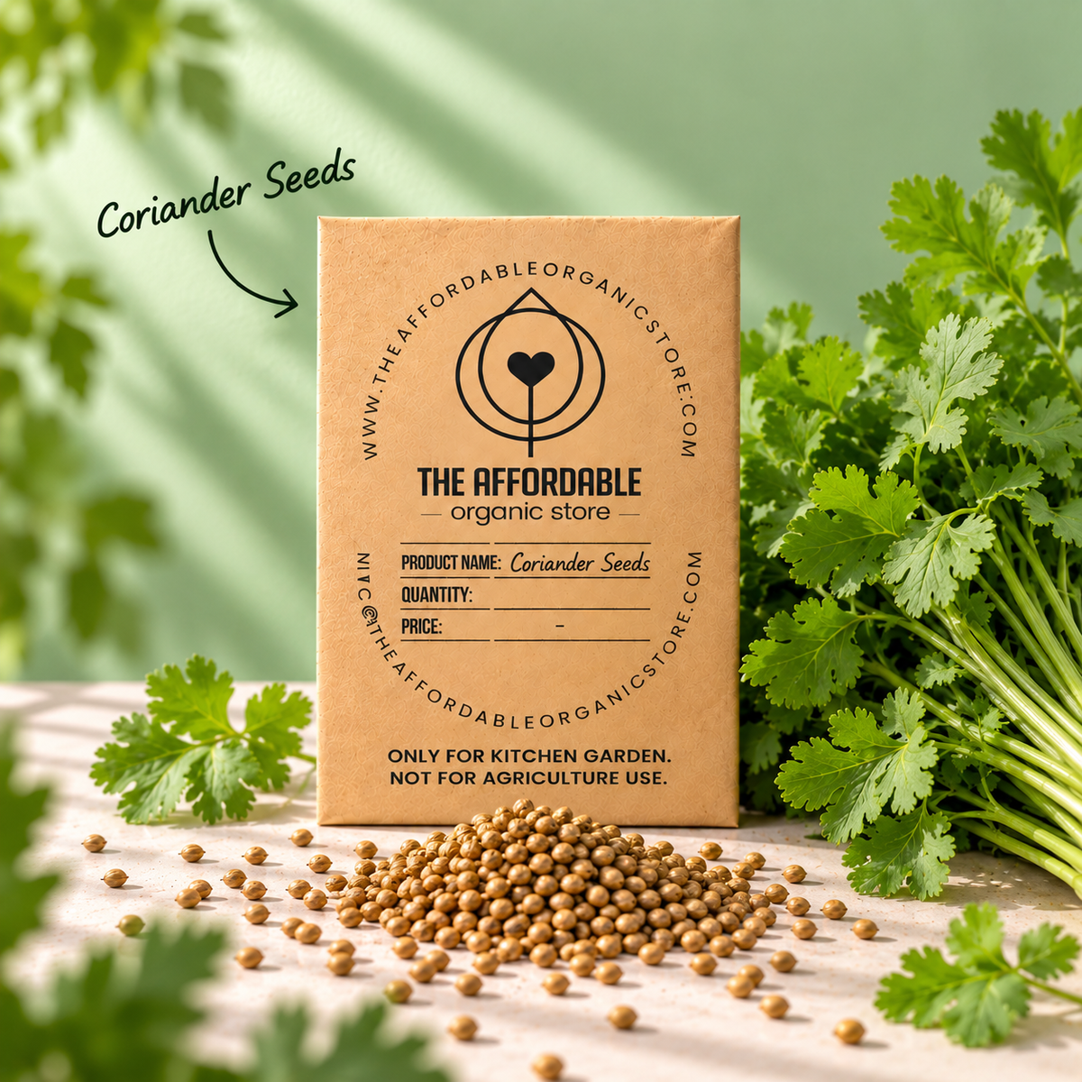 Coriander Seeds (100 seeds)