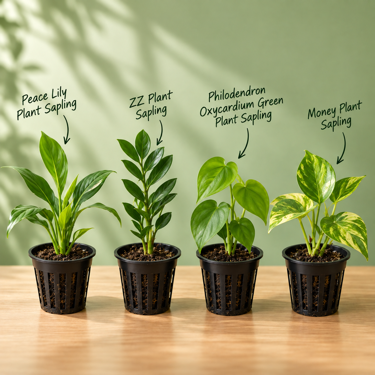 Monsoon Greenery Bundle
