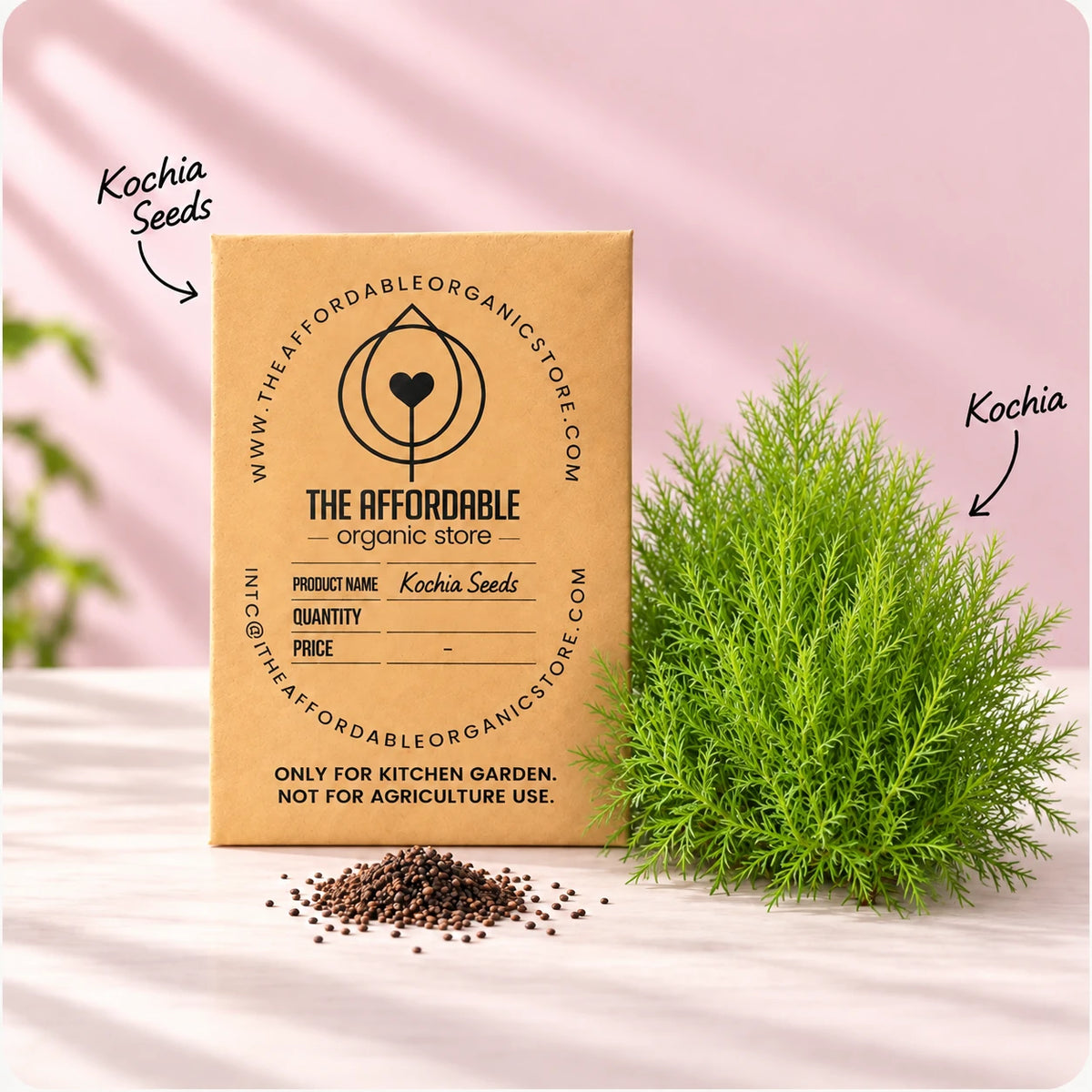 Kochia Seeds (40 seeds)