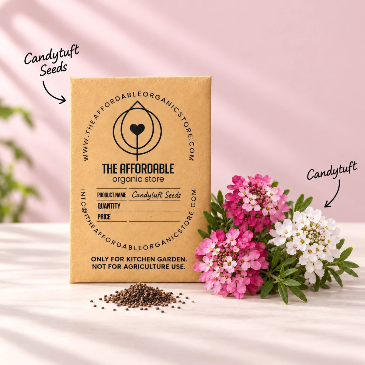 Candytuft Seeds (10 seeds)