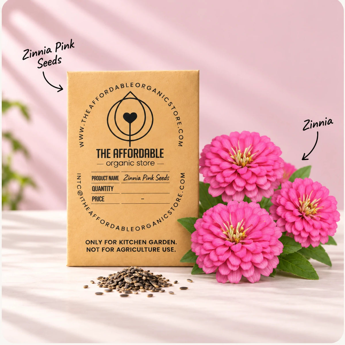 Zinnia Pink Seeds (6 seeds)