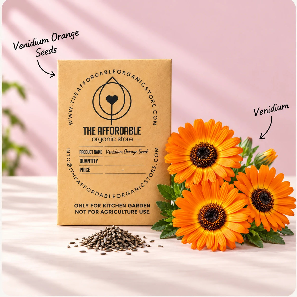 Venidium Orange Seeds (20 seeds)