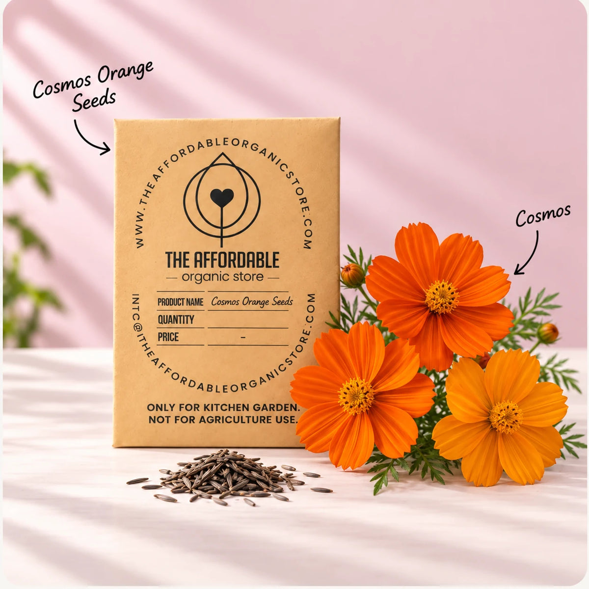 Cosmos Orange Seeds (10 seeds)