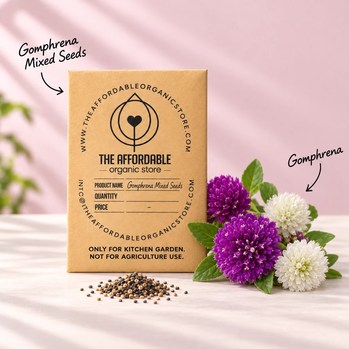 Gompherena Mixed Seeds (10 seeds)