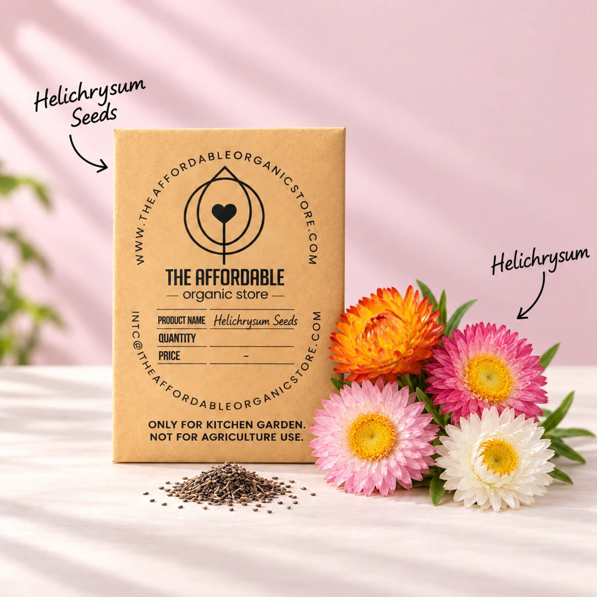 Helichrysum Seeds (10 seeds)