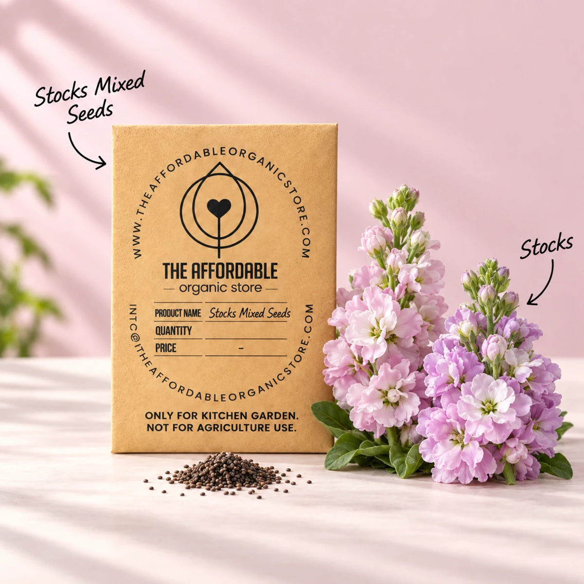 Stocks Mixed Seeds (15 seeds)