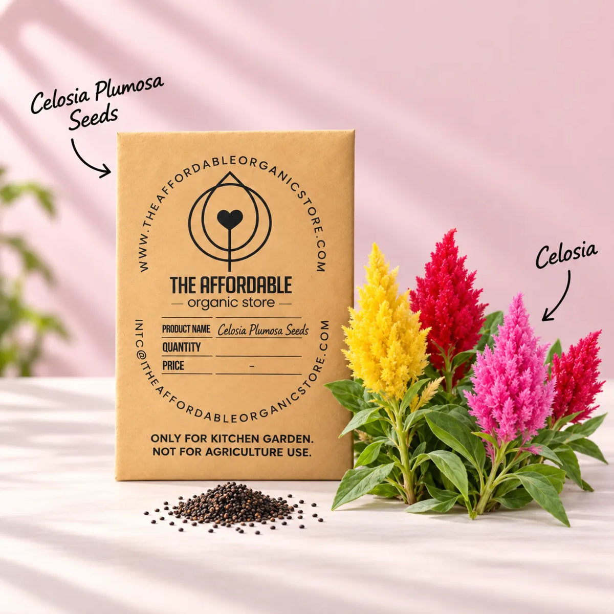 Celosia Plumosa Seeds (20 Seeds)