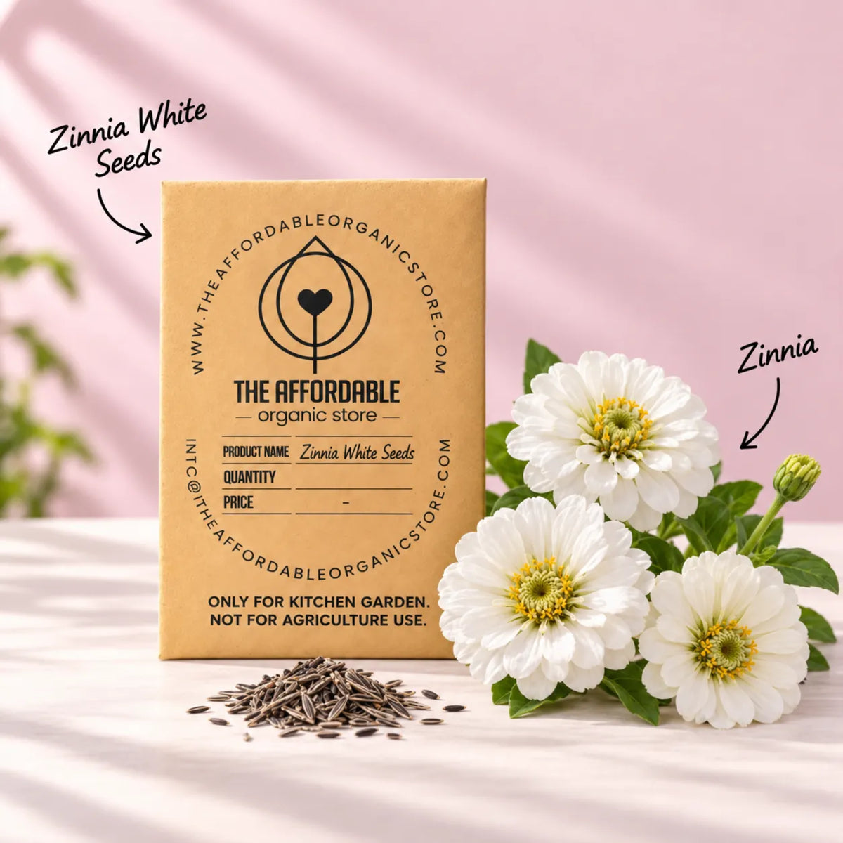 Zinnia White Seeds (6 seeds)