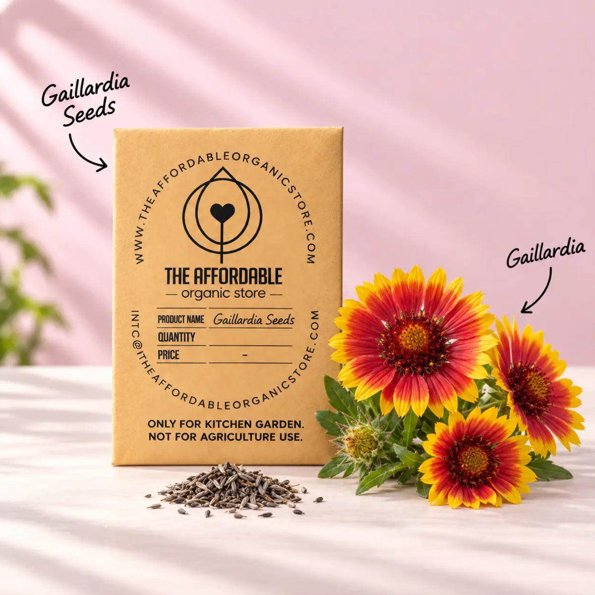 Gaillardia Seeds (10 seeds)
