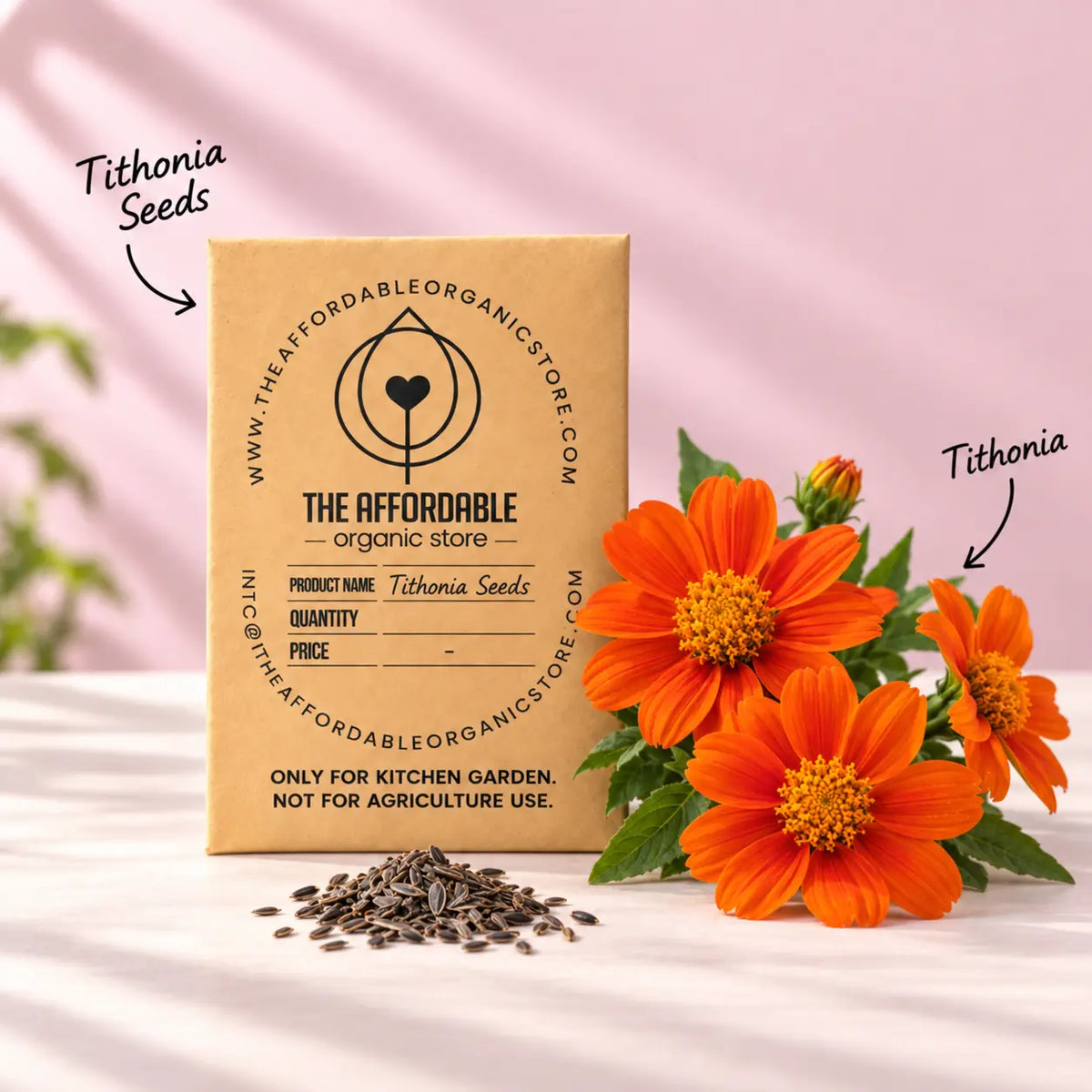 Tithonia Seeds (10 seeds)