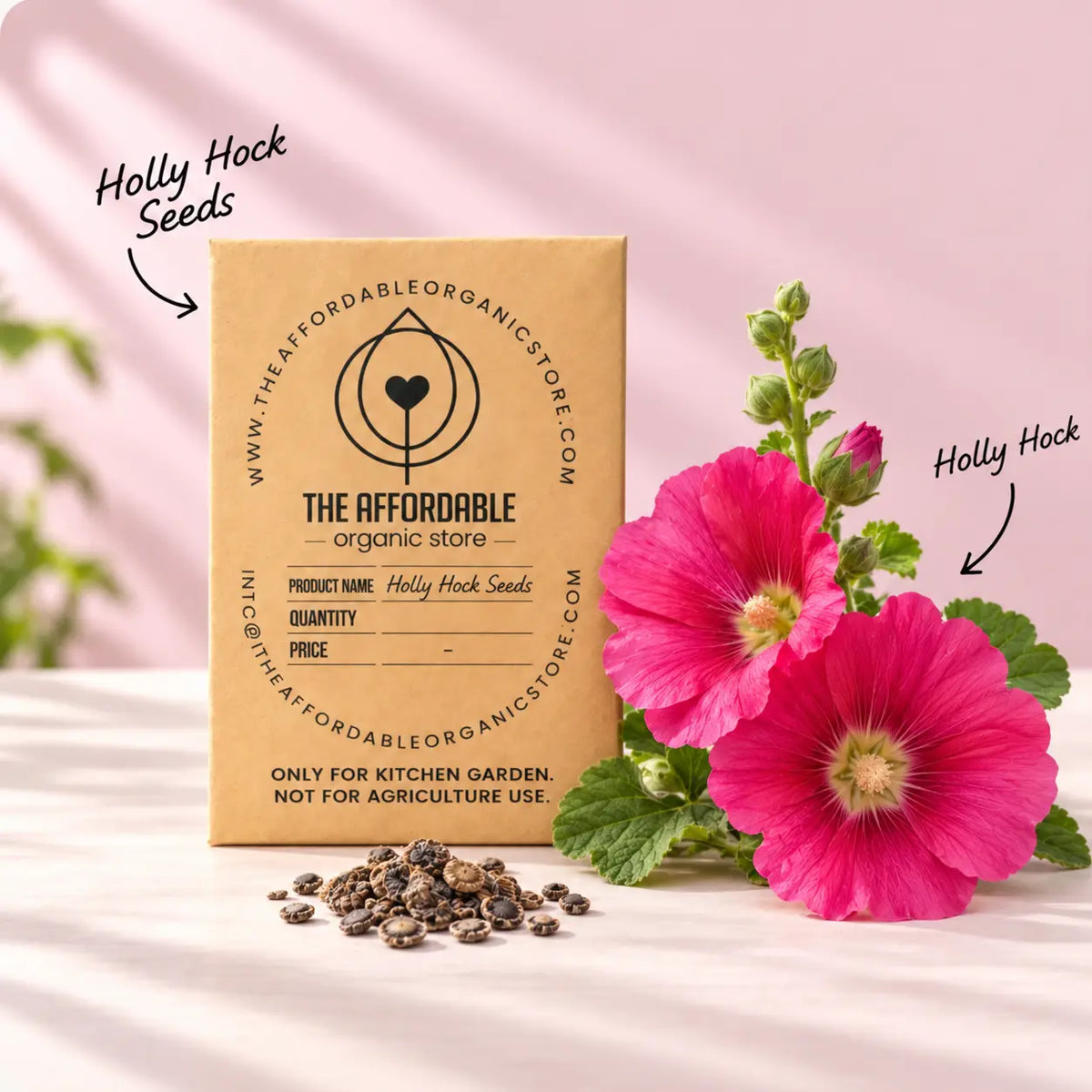 Holly Hock Seeds (5 seeds)