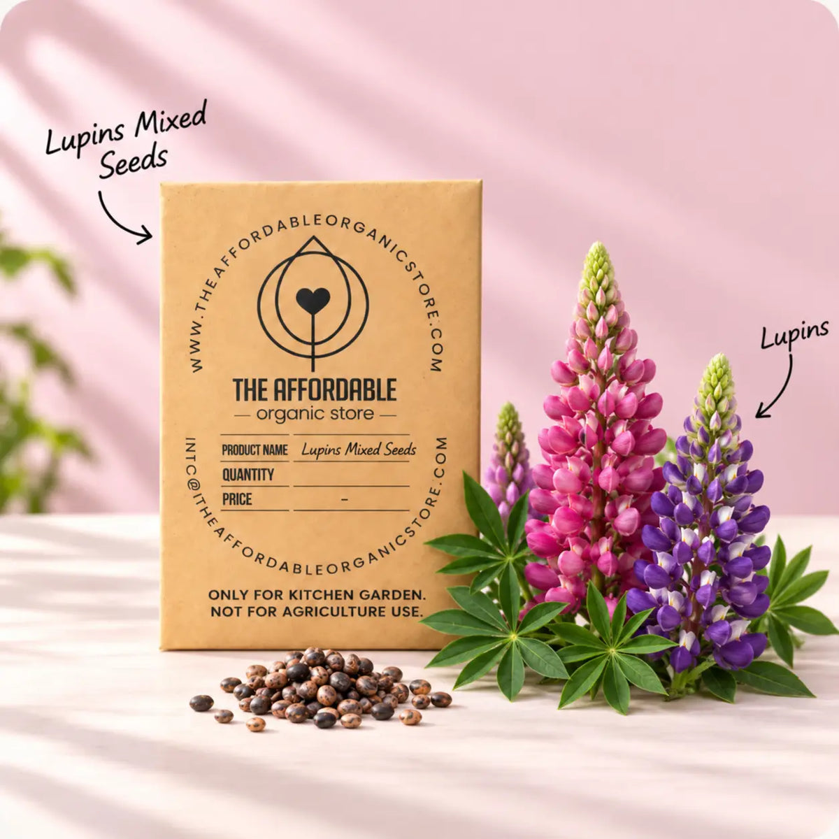 Lupins Mixed Seeds (10 seeds)
