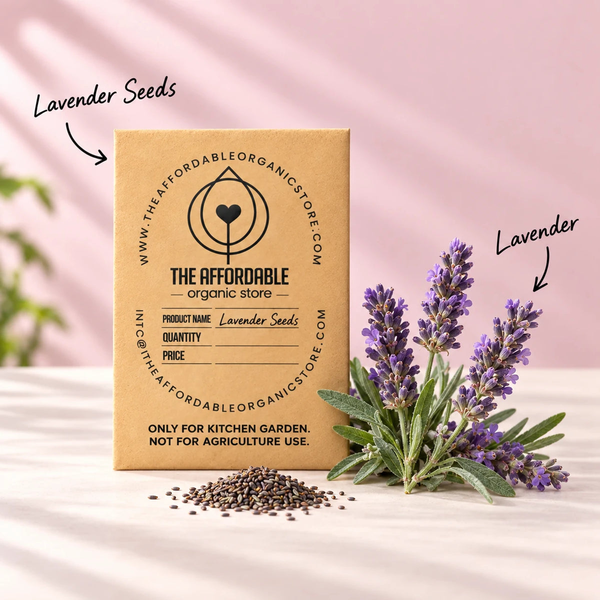 Lavender Seeds (40 seeds)