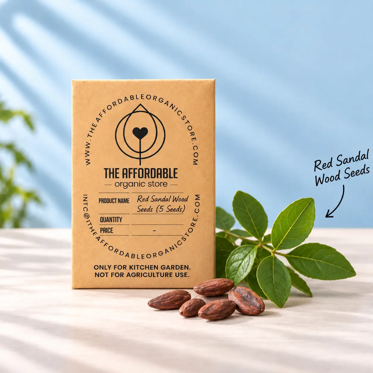Red Sandal Wood Seeds (5 Seeds)