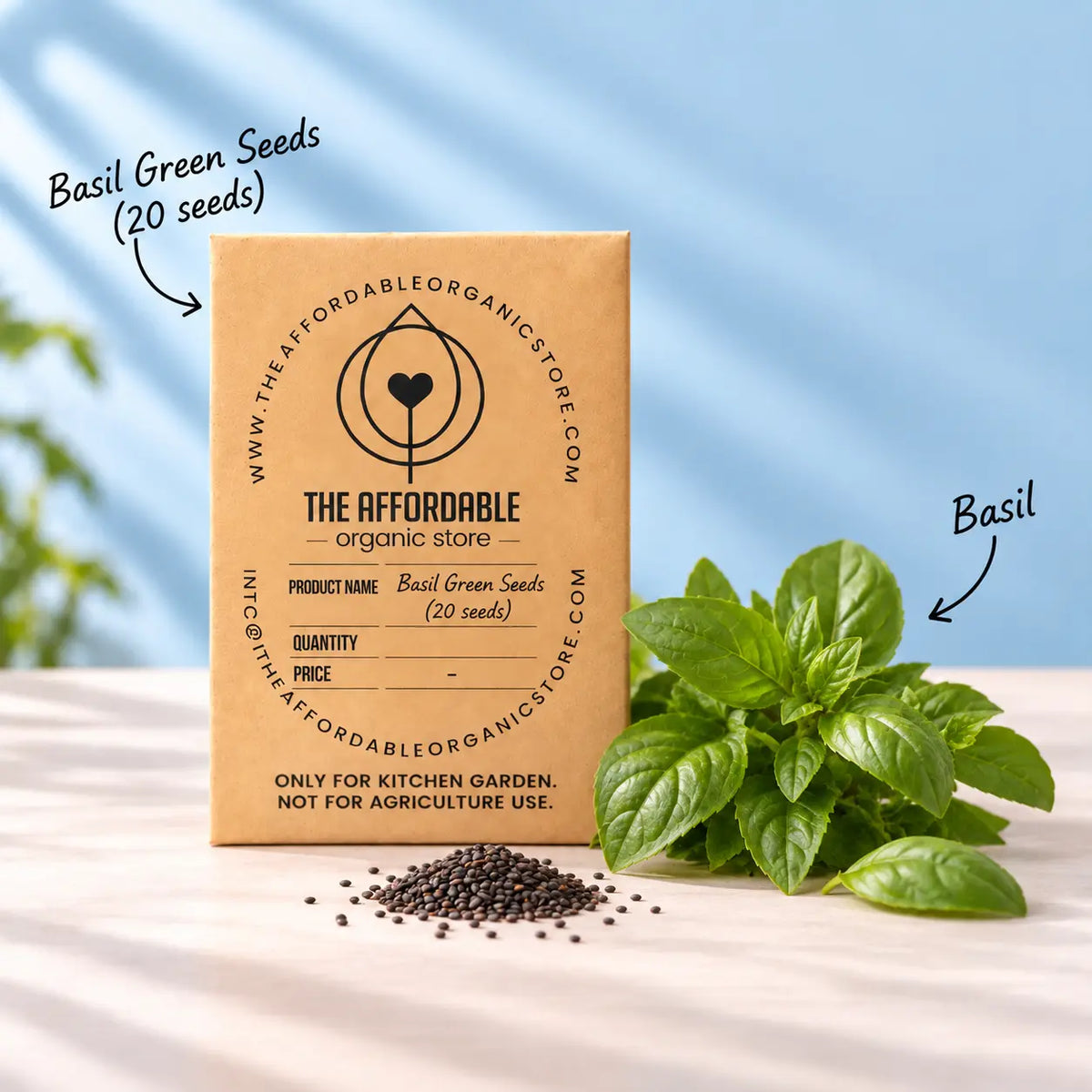 Basil Green Seeds (20 seeds)