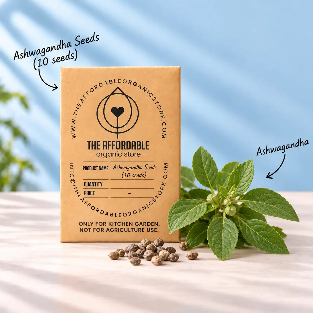 Ashwagandha Seeds (10 seeds)