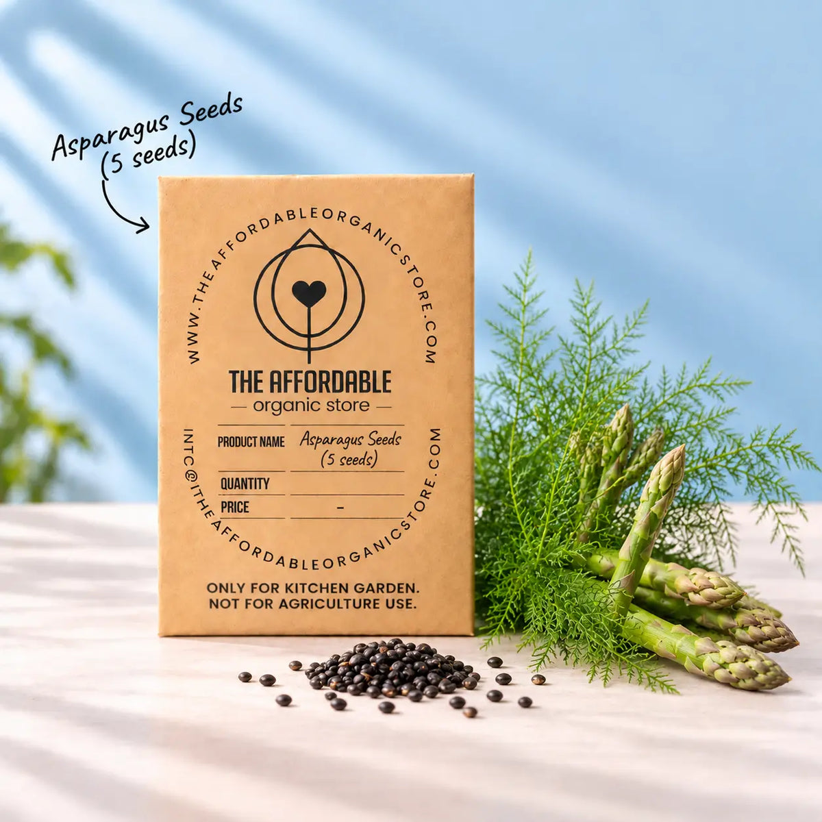 Asparagus Seeds (5 seeds)