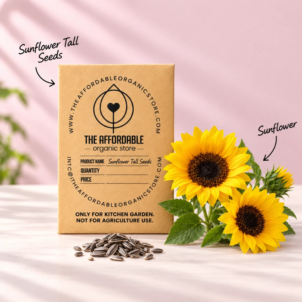 Sunflower Tall Seeds (20 seeds)