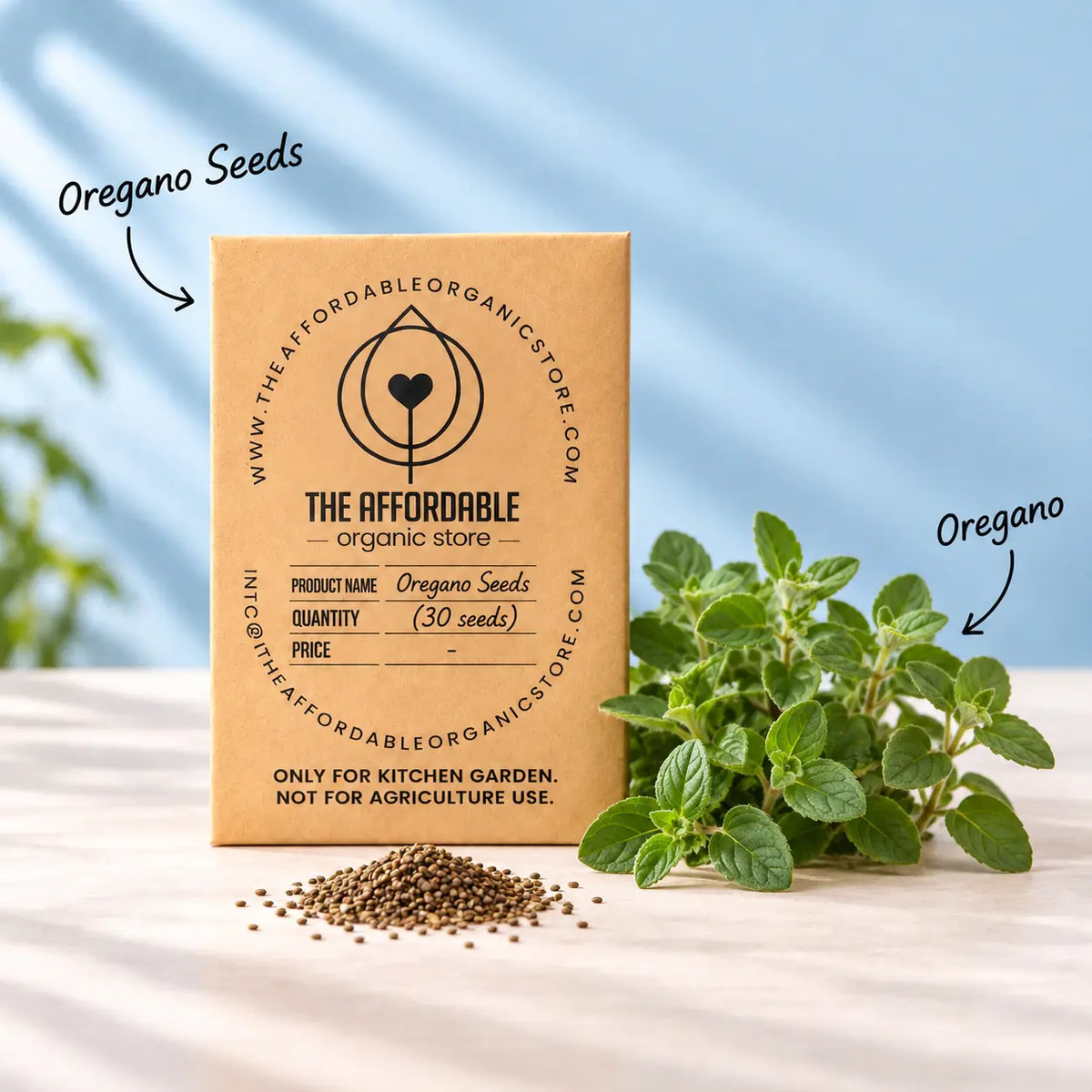 Oregano Seeds (30 seeds)