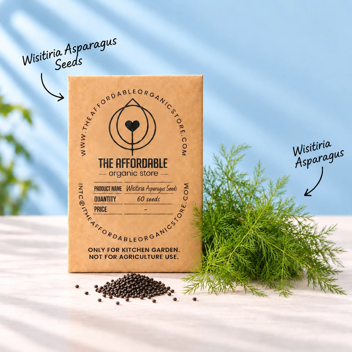 Wisitiria Asparagus Seeds (60 seeds)