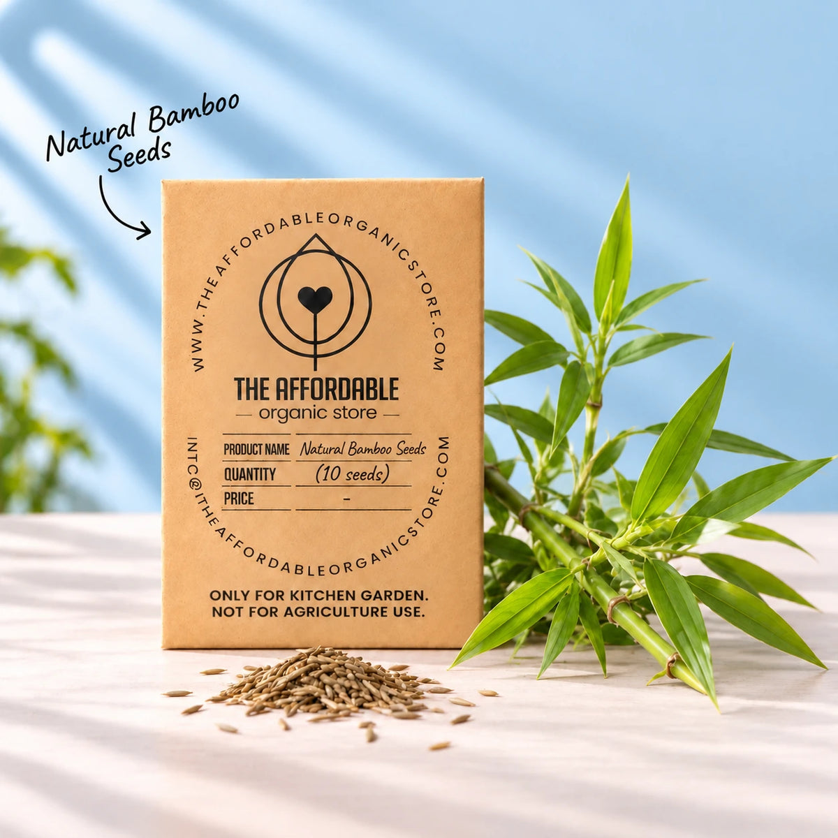 Natural Bamboo Seeds (10 Seeds)