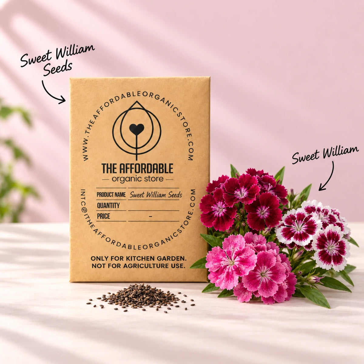 Sweet William Seeds (10 seeds)
