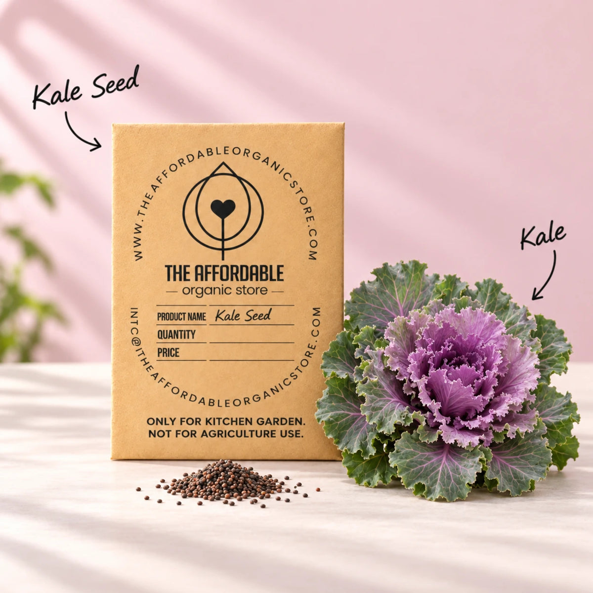 Kale Seeds (10 seeds)
